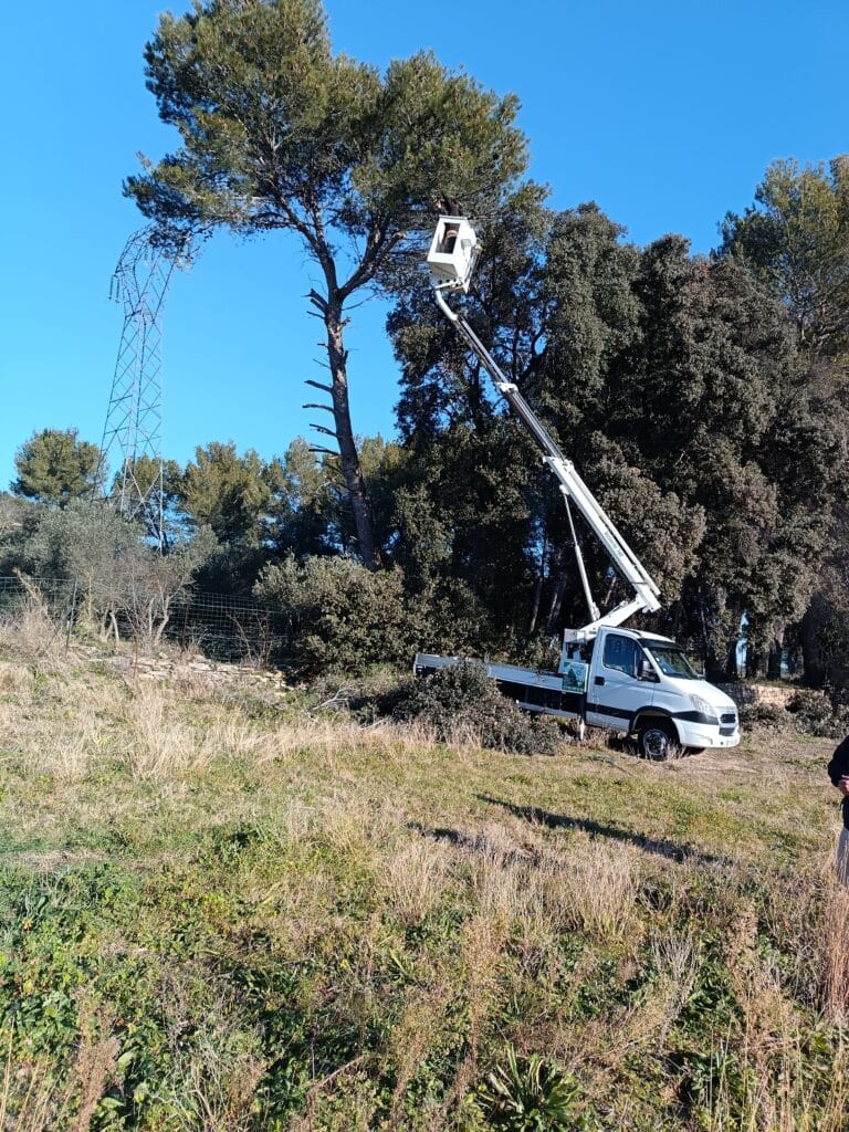 Élagage d'un pin près d'un pylône électrique. Ouvrier en nacelle. Camion Bizzochi 160, "L'art du paysagisme".