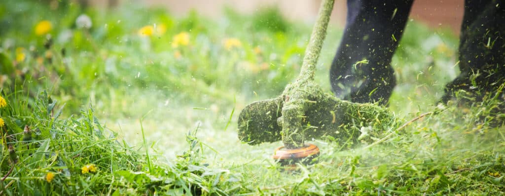 Débroussailleuse en action coupant l'herbe haute et les pissenlits. Des débris verts volent intensément autour de la machine.